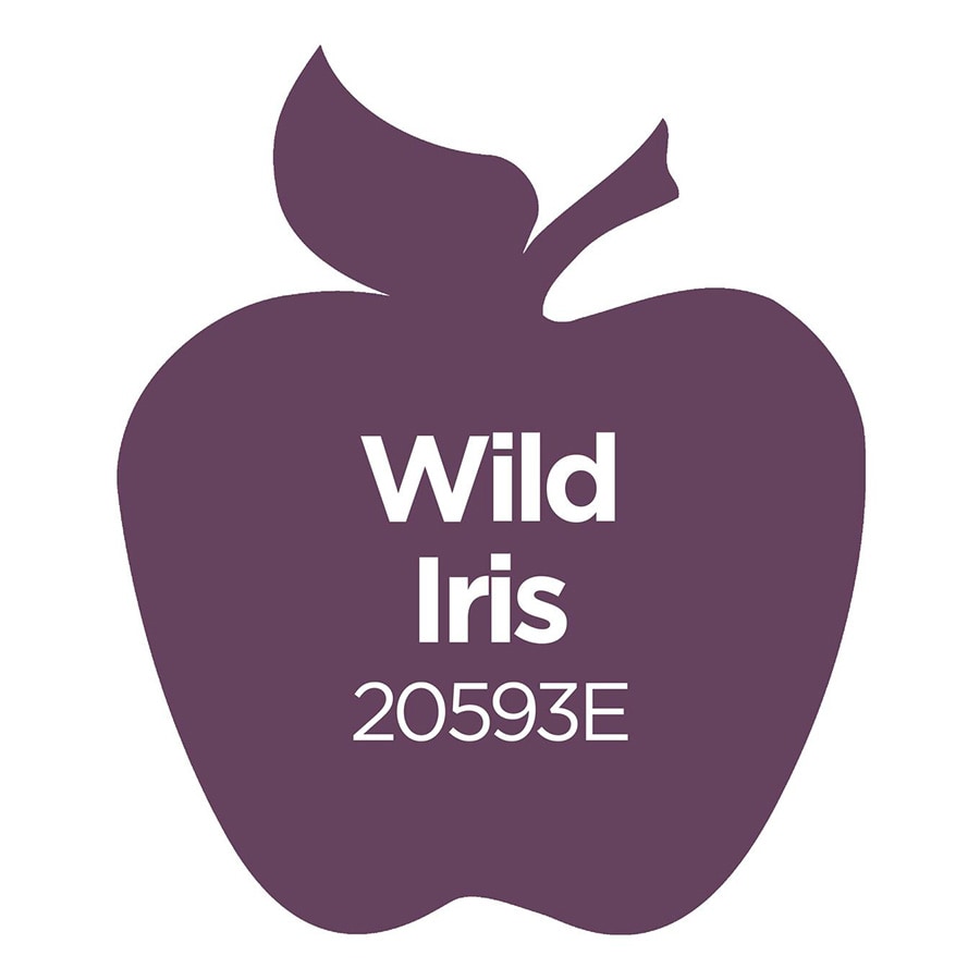 Apple Barrel ® Colors - Wild Iris, 2 oz. - 20593