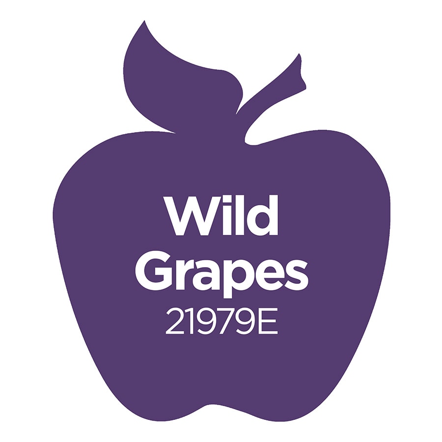 Apple Barrel ® Multi-Surface Satin Acrylic Paints - Wild Grapes, 2 oz. - 21979E