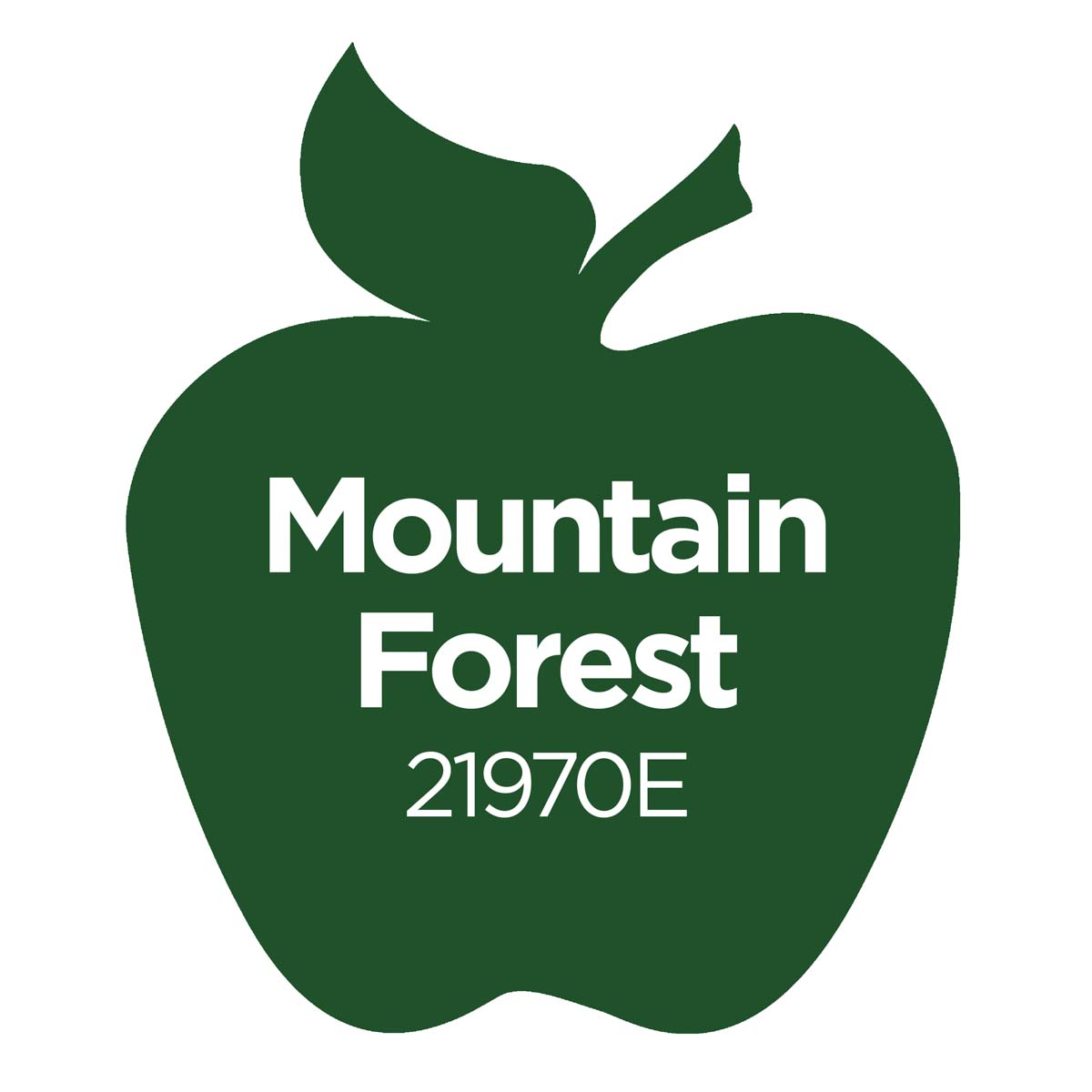 Apple Barrel ® Multi-Surface Satin Acrylic Paints - Mountain Forest, 2 oz. - 21970E