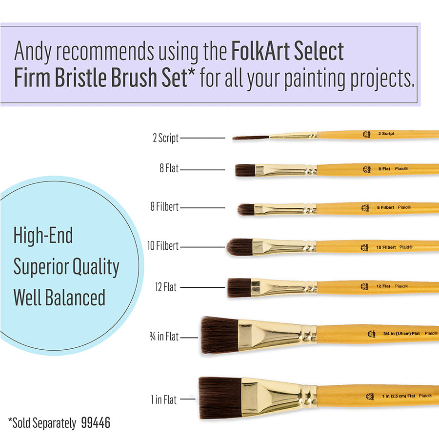 FolkArt ® Art Talk with Andy Jones - Studio Paint Kit - 90286