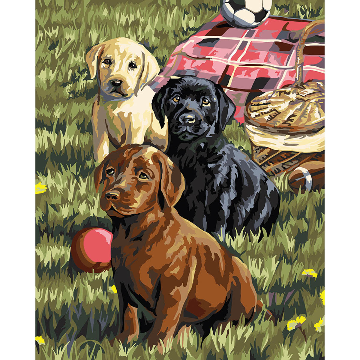PAINT BY NUMBER - PUPPY PICNIC 16X20        (DISC)