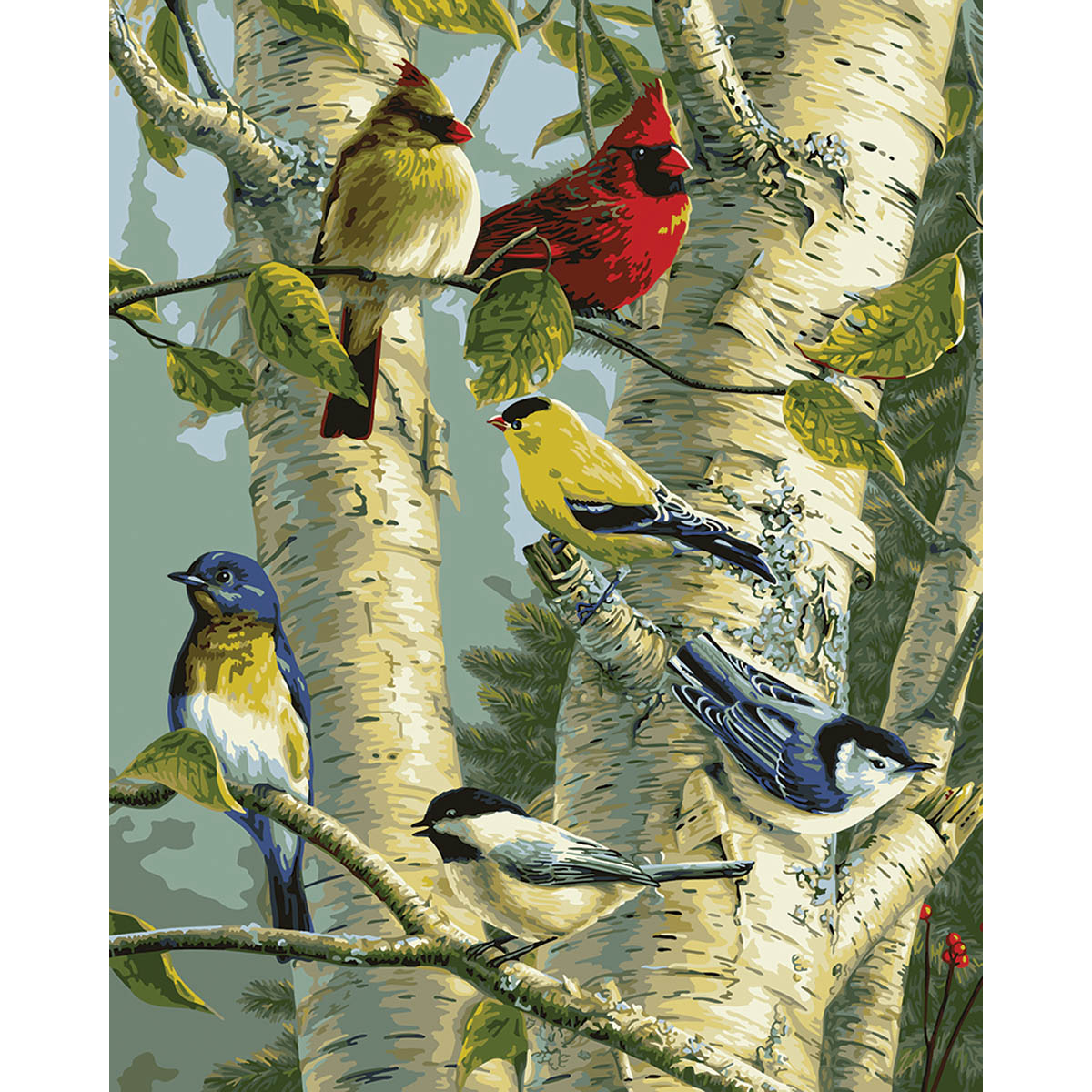 PAINT BY NUMBER - SONG BIRD FAVORITES 16X20