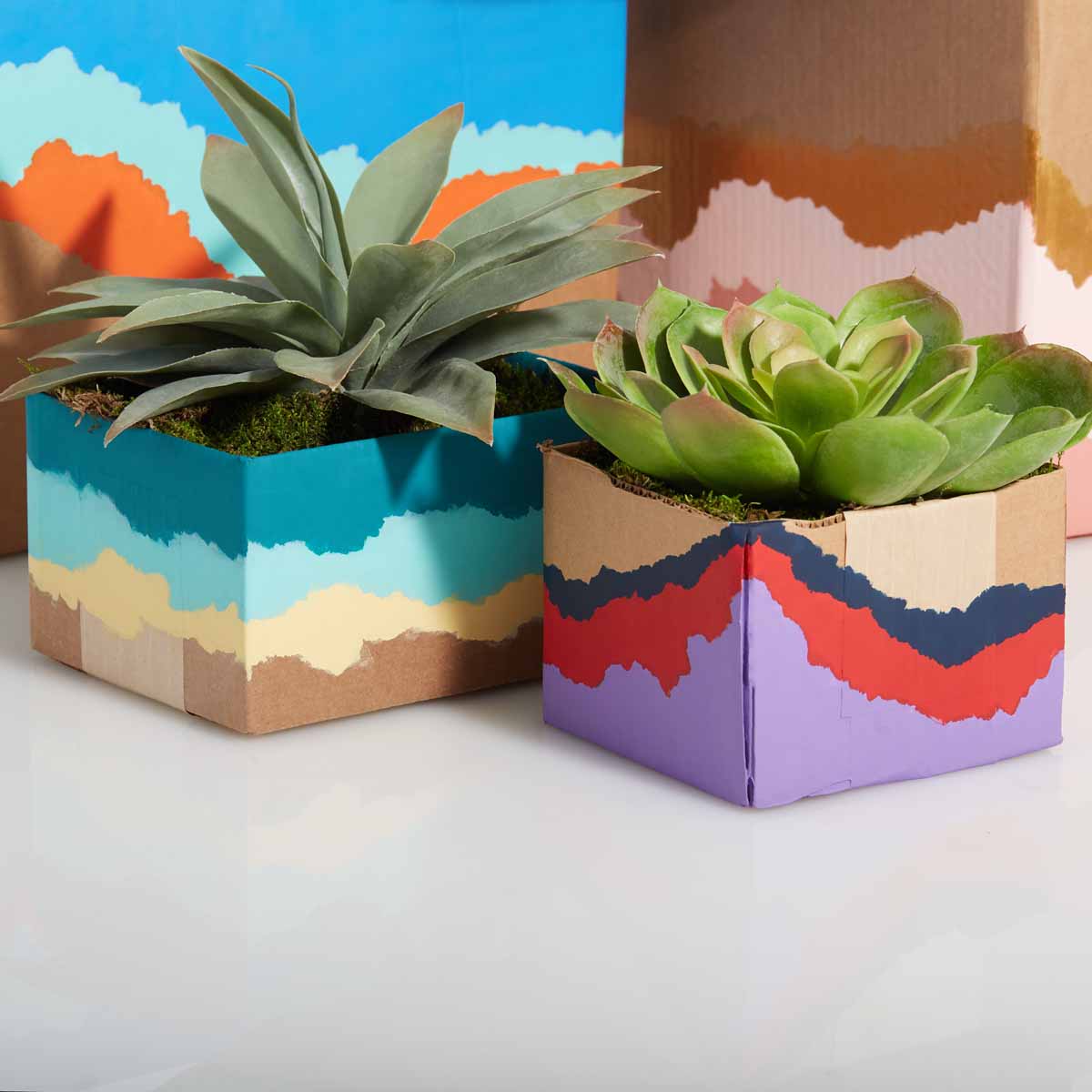 Cardboard Box Planters