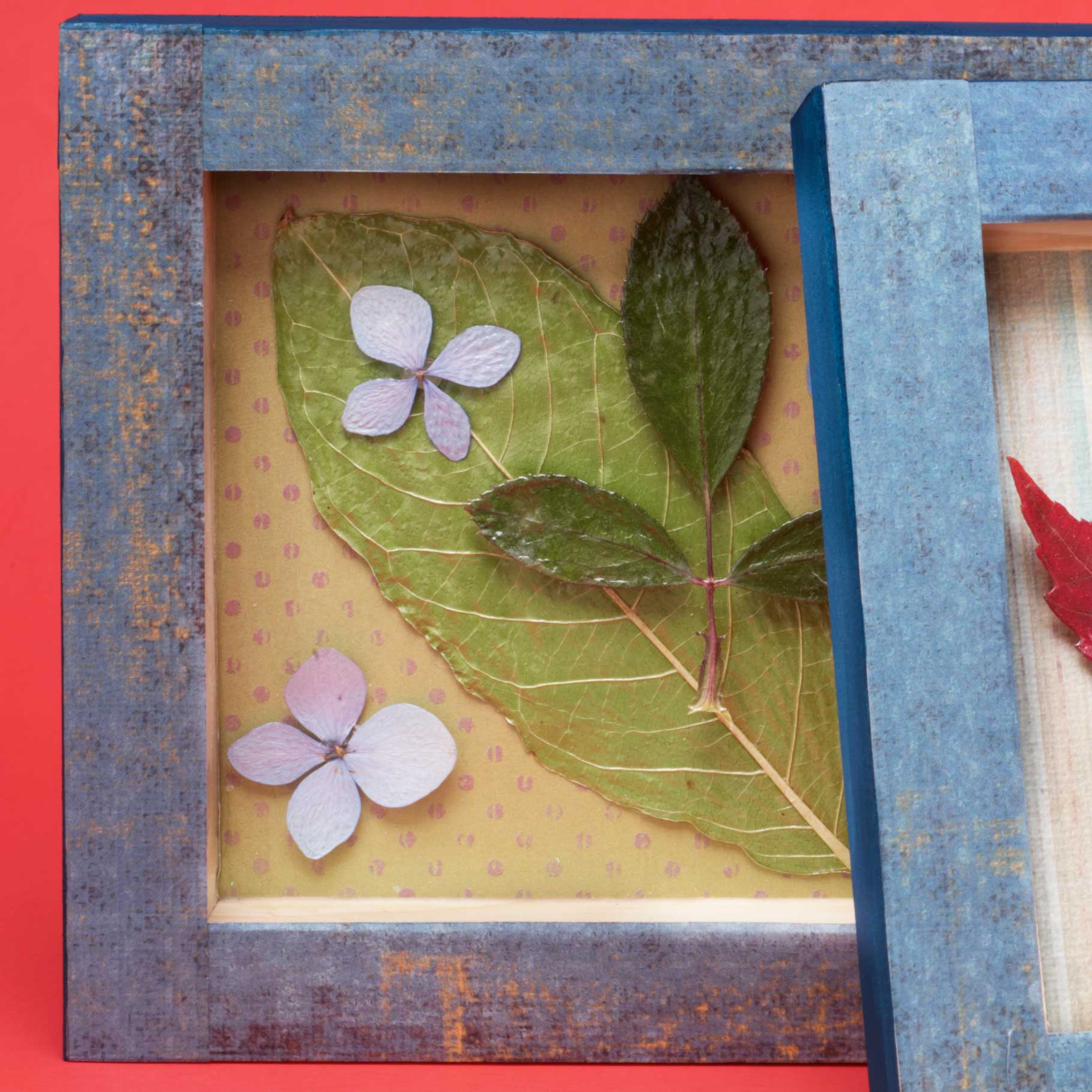 Sealed Leaves and Flowers with Mod Podge