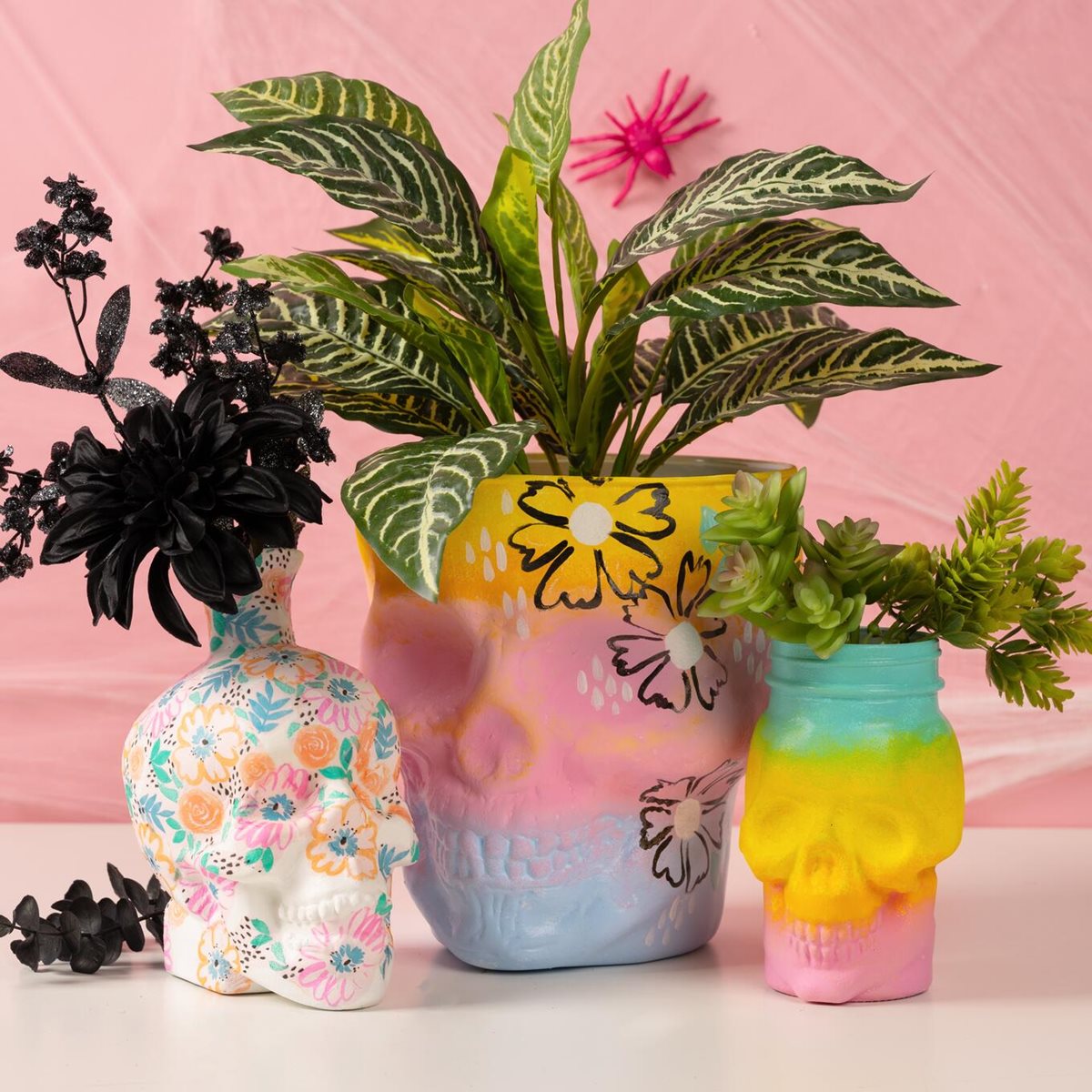 Skull Planters and Vase