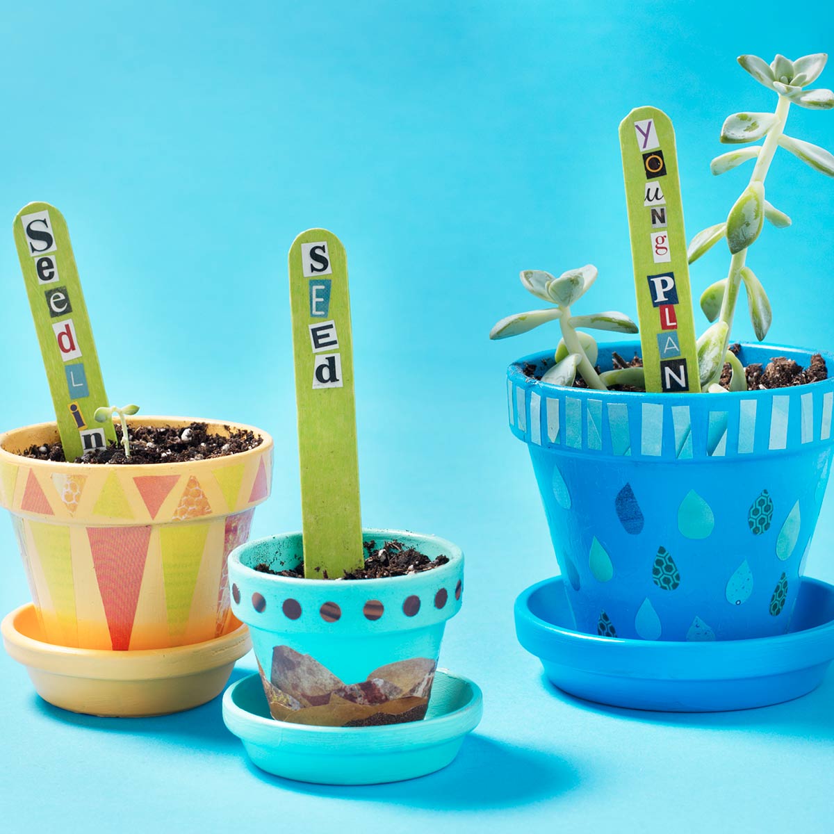 Stages of Plant Life - Terracotta Flower Pots and Plant Tags
