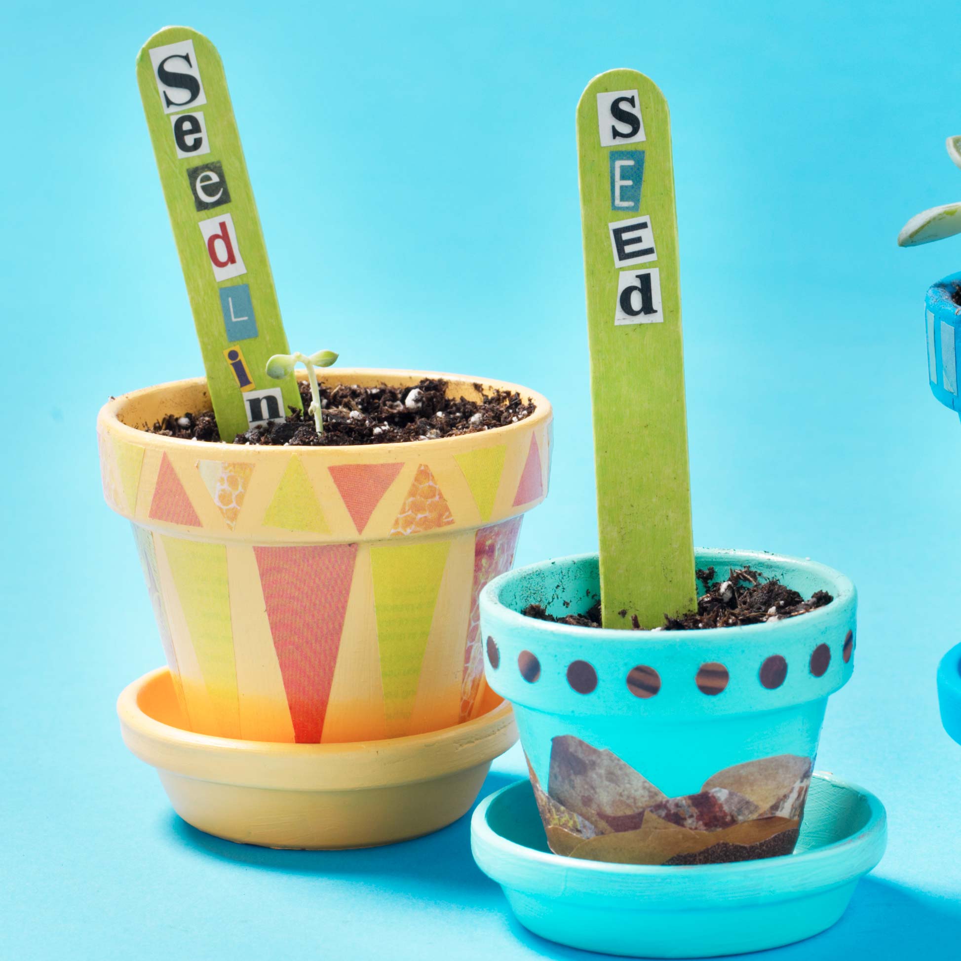 Stages of Plant Life - Terracotta Flower Pots and Plant Tags