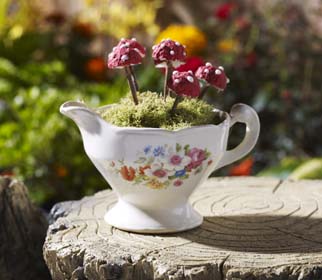 Fairy Garden Inspiration - Mushroom Teacup