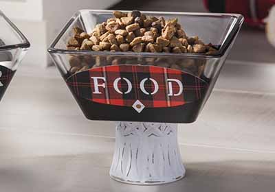 Fancy Pet Food and Water Bowls