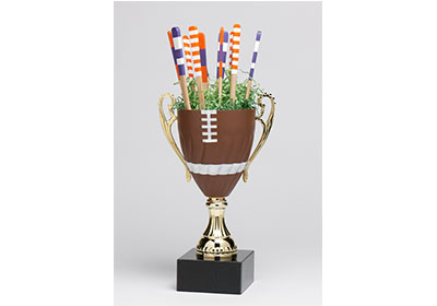FolkArt Multi-Surface Football Trophy