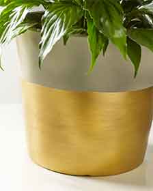 Large Dipped Planter