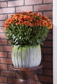 Pumpkin Planter with Painted Finish